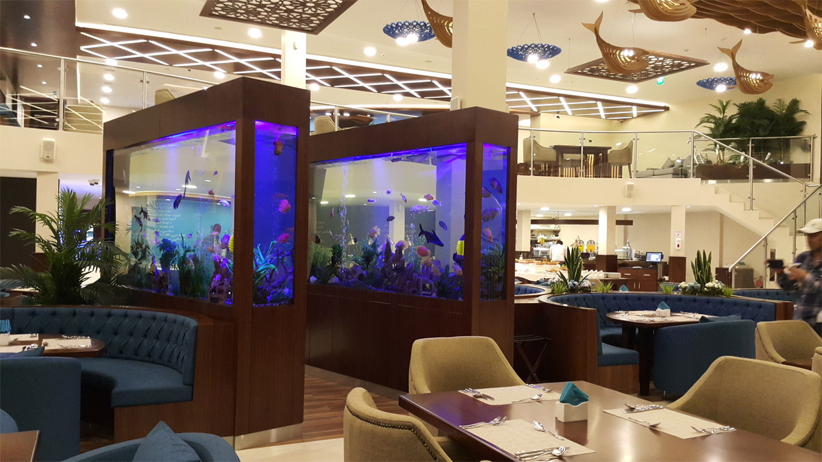 Custom Aquarium