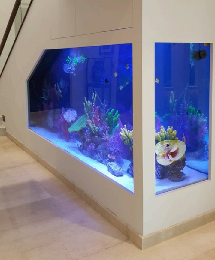 Aquarium