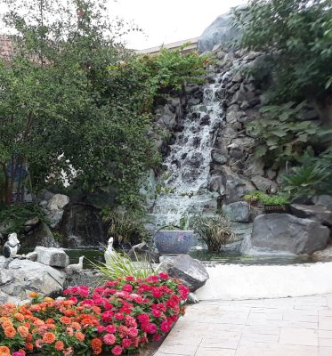 Water Fall